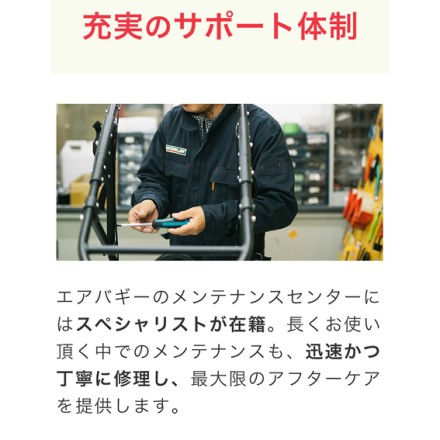 エアバギー ココブレーキプレミア フロムバース グラスグリーン