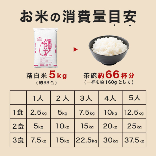岡山県産 きぬむすめ 白米 10kg 令和7年産