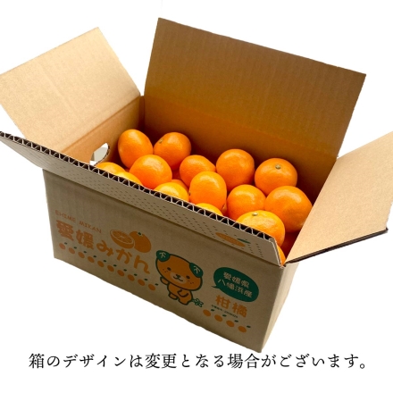 【11月上旬頃より順次出荷】お試し容量 訳あり 愛媛みかん 2kg（2S～3Lサイズ）10個から30個程度