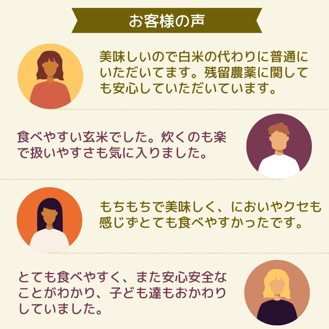 新潟県新発田産 スマート米 こしいぶき 無洗米玄米 (残留農薬不検出) 5.0kg 令和5年産