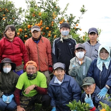 愛媛県西宇和産 果汁たっぷり 温州みかん 5kg