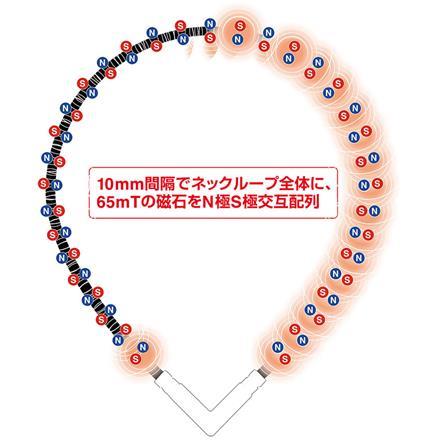 コラントッテ ABARK タオα ベガネクスト 磁気 ネックレス シルバー Colantotte TAO VEGA NEXT シルバー LL