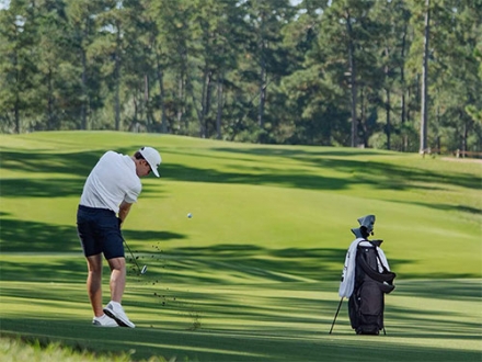 レディーステーラーメイド Qi MAX LITE アイアン単品 REAX 40 カーボンシャフト #6/L