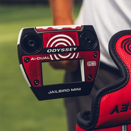 オデッセイ Ai-DUAL JAILBIRD MINI パター 33インチ