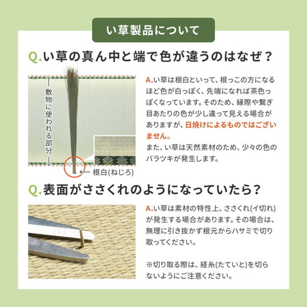 日本製 い草ラグ 261×352cm 江戸間6畳 国産い草100% 裏貼りあり カーペット 畳 マット 抗カビ 消臭 エルモード