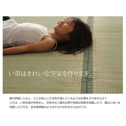 純国産 双目織 い草上敷 『草津』 江戸間4.5畳（約261×261cm）