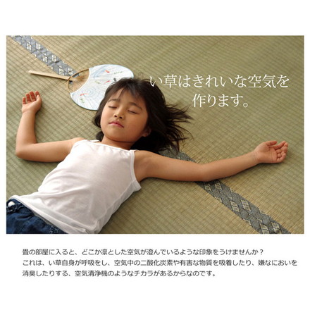 純国産 糸引織 い草上敷 『湯沢』 江戸間6畳（約261×352cm）