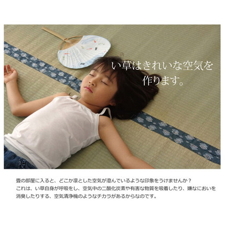 純国産 双目織 い草上敷 『ほほえみ』 三六間6畳（約273×364cm）