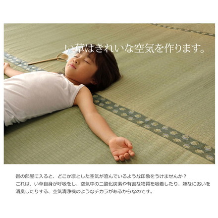 純国産 双目織 い草上敷 『松』 本間4.5畳（約286×286cm）