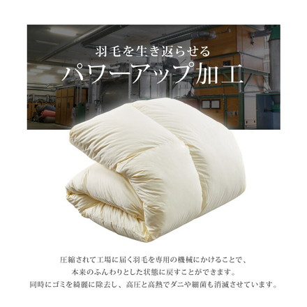 日本製 2枚合わせ 羽毛布団 クイーン ロイヤルゴールドラベル ポーランド産ホワイトダックダウン93% 400dp