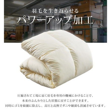 日本製 2枚合わせ 羽毛布団 クイーン エクセルゴールドラベル ハンガリー産ホワイトダックダウン90% 350dp