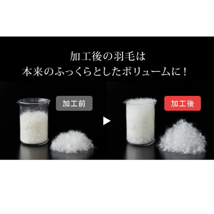 日本製 羽毛ふとん キング 最高ランクプレミアムゴールドラベル ポーランド産ホワイトダックダウン 93%