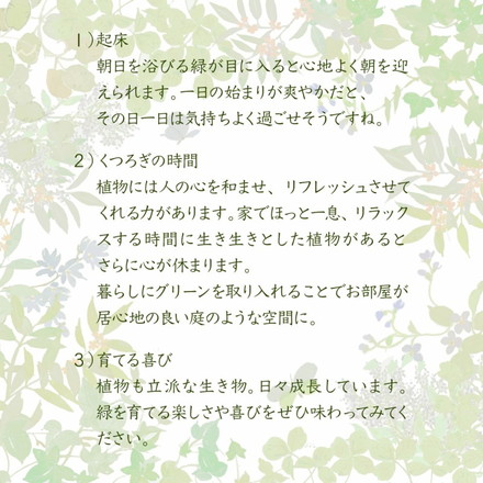 グリーンのある暮らし テレビ台 ガラス 古材 インテリア 40インチ シャビー ラック 一人暮らし