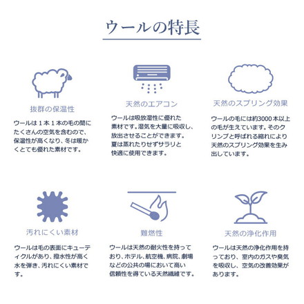 2層式ウールベッドパッド シングル 100×200cm ホワイト デオメタフィプレミア加工 抗菌防臭 洗濯可能 洗える