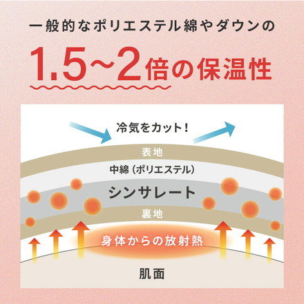 6層毛布 調温掛け布団 セット ぬくもり特区 シングル セミダブル ダブル 温度調整 布団カバーにもなる毛布 シンサレート チャコールグレー ダブル