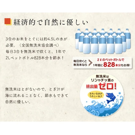 岩手県産 アイリスの低温製法米 無洗米 ひとめぼれ 20kg(5kg×4袋) 令和5年度産