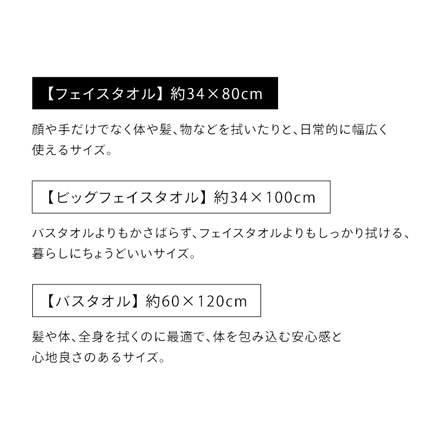 アイリスオーヤマ フェイスタオル 2枚セット FT-2 アイボリー