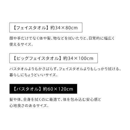 アイリスオーヤマ デイリー バスタオル 4枚セット BT-D4 ホワイト