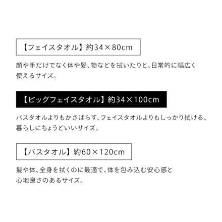 アイリスオーヤマ ガーゼ＋パイル ビッグフェイスタオル 2枚セット BFT-G2 ホワイト
