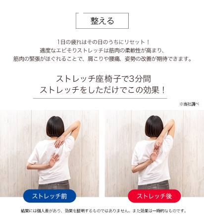 整体師さんが推奨する健康ストレッチ座椅子 ブラック