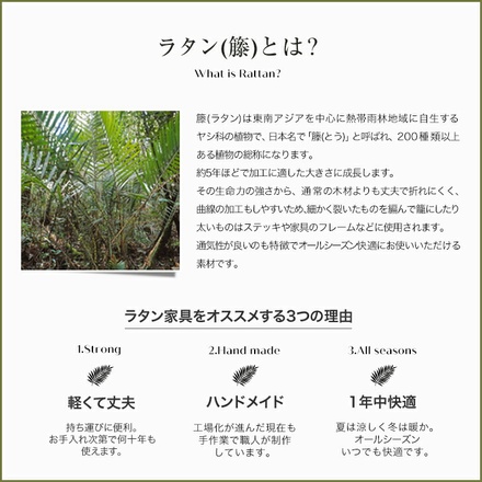 天然籐肘付き回転チェア ロータイプ