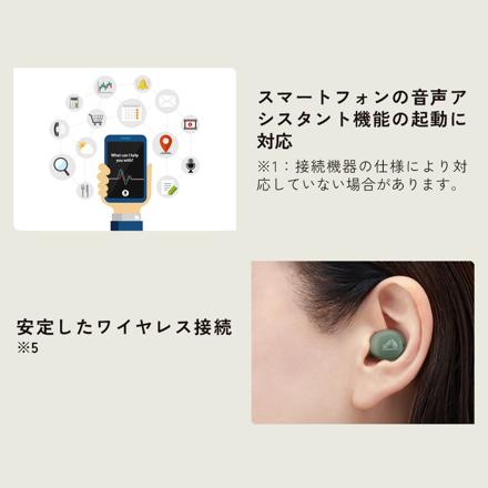JVC Victor ビクター ワイヤレスイヤホン パープル HA-A6T-V