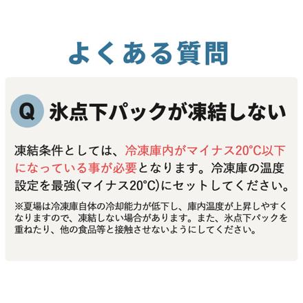 ロゴス 81670080 ハイパー氷点下クーラーL ＆ 81660641 倍速凍結・氷点下パックL x2個