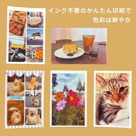 Hanin インスタントカメラプリンター Z2 HN-ICPZ2-BR ブラウン ZINK フォトペーパー付 2点セット