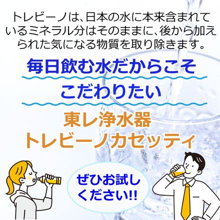 浄水器＆交換用カートリッジセット 東レ 浄水器 トレビーノ カセッティ MK206SMX 高除去タイプ 蛇口直結型 カートリッジ1個＆交換用カートリッジ2個セット MKC.X2J