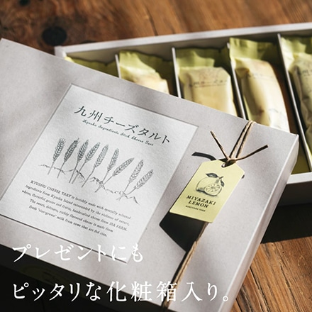 タマチャンショップ 九州チーズタルト 5本×4箱