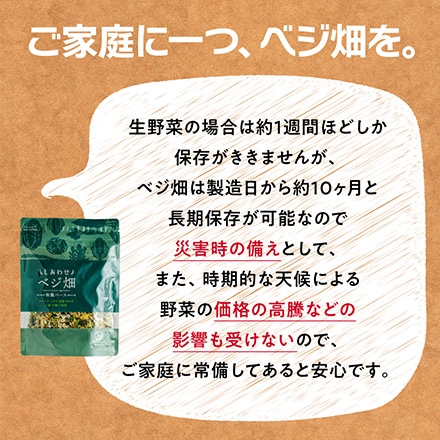 タマチャンショップ ななつのしあわせベジ畑 50g 乾燥野菜 和風ベース