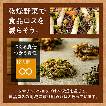 タマチャンショップ ななつのしあわせベジ畑 乾燥野菜 パワーベース 50g