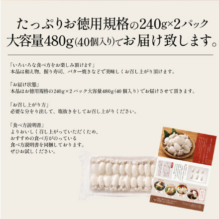 ボイル 甲イカ コウイカ