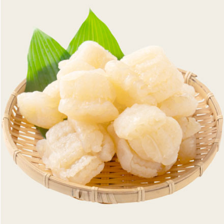 キャノンボールクラゲ 1kg