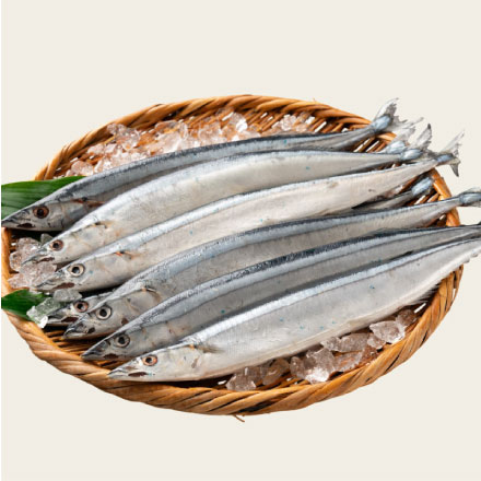 北海道産 秋刀魚 1kg（8本入り）