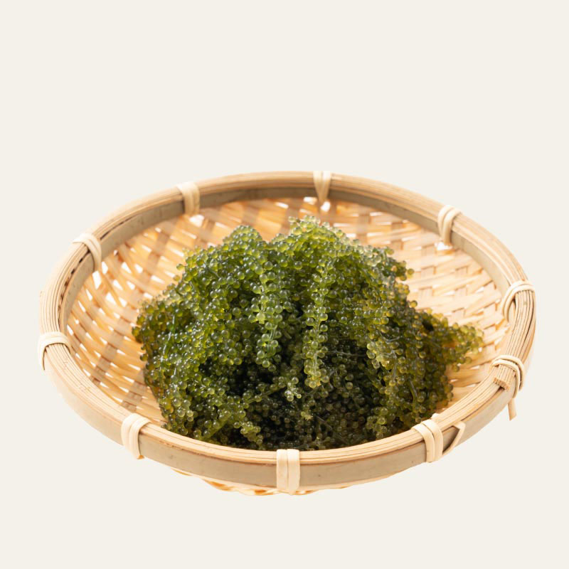 沖縄県産海ぶどう50ｇ×1袋