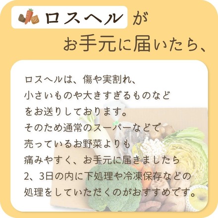 訳あり 食品 ロスヘル 野菜 果物 詰め合わせ セット 【合計7種類以上 約3-5kg 】規格外野菜 国産