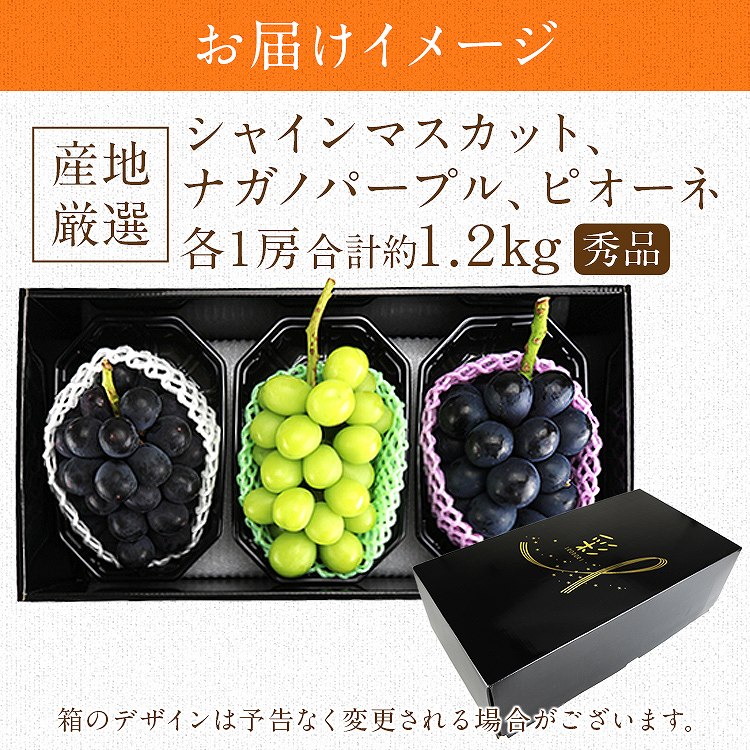 ぶどう ギフト 3種詰め合わせ 3房(1房×3種) 1.2kg シャインマスカット ナガノパープル ピオーネ 秀 産地厳選 贈答用 冷蔵便 同梱不可 指定日不可