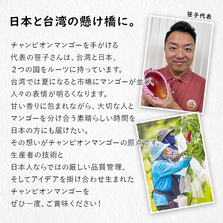 マンゴー 1.2kg以上 (2ー3玉程度) 台湾産 ピントン産 台湾から直送 チャンピオンマンゴー 糖度16度以上 産直 同梱不可 指定日不可