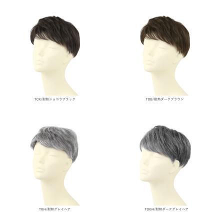 プリシラ 男性用5分ウィッグ レイヤーショート GB-22 TCK/耐熱ショコラブラック