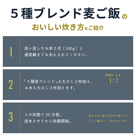 雑穀米本舗 国産 麦5種ブレンド 4.5kg(450g×10袋) [丸麦/押麦/はだか麦/もち麦/はと麦]