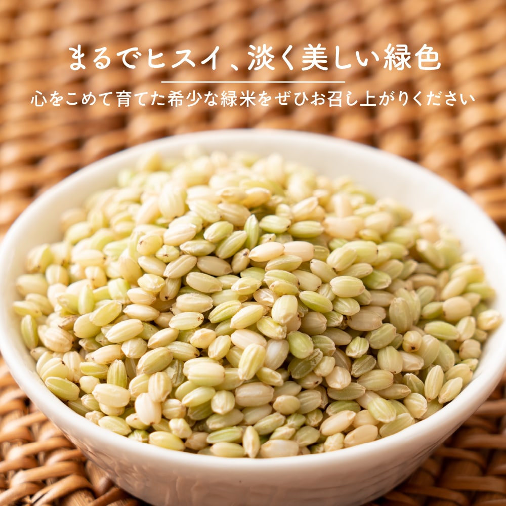 雑穀米本舗 国産 緑米 2.7kg(450g×6袋)