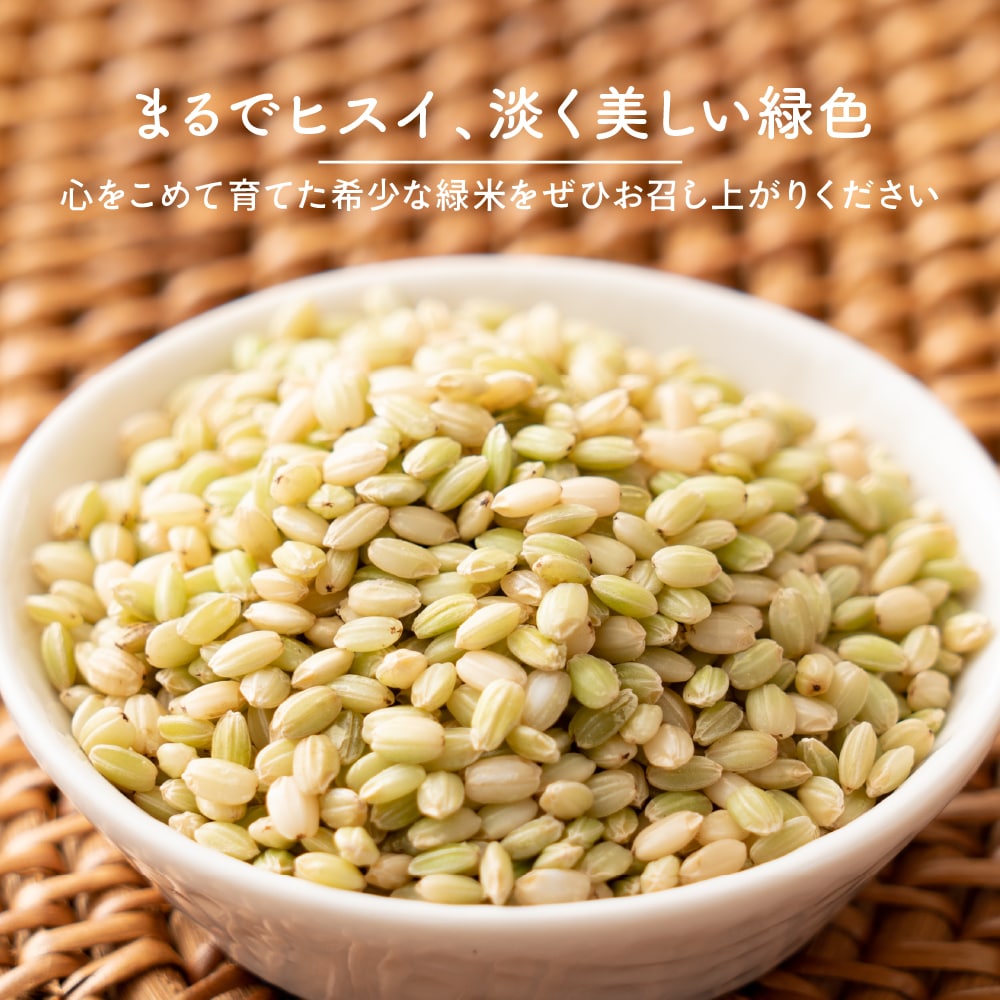 雑穀米本舗 国産 緑米 4.5kg(450g×10袋)