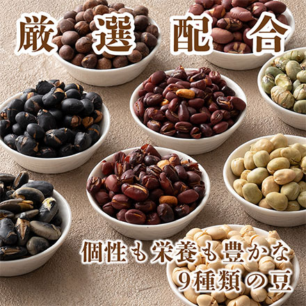 煌めき９種の国産煎り豆ミックス 300g