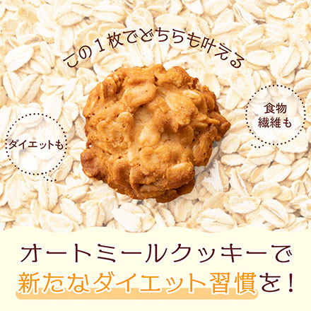 オートミールクッキー(プレーン) 【100g×1袋】※割れ欠けあり