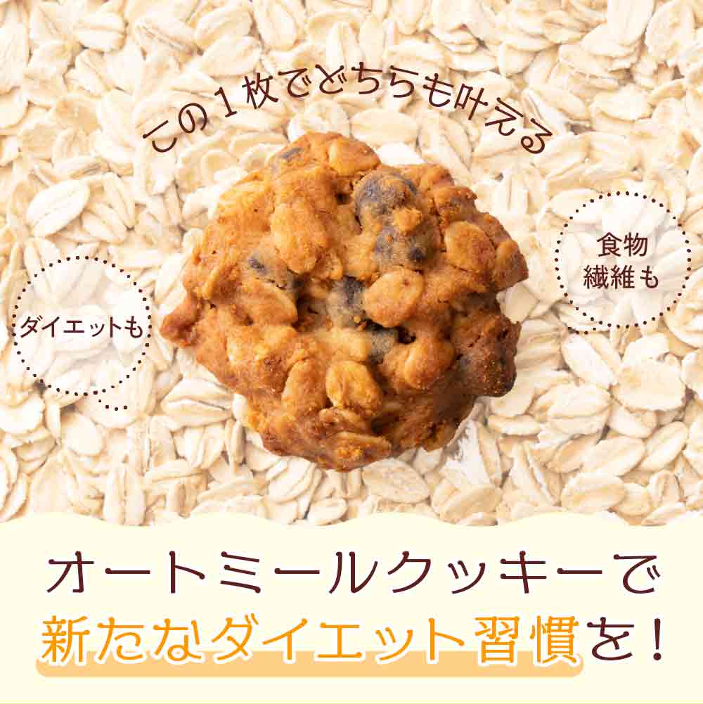 オートミールクッキー(チョコチップ) 【400g(100g×4袋)】※割れ欠けあり