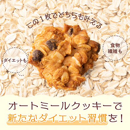 オートミールクッキー(チョコバナナ) 【100g×1袋】※割れ欠けあり