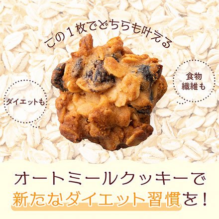 オートミールクッキー(3種のベリー) 【1kg(100g×10袋)】※割れ欠けあり