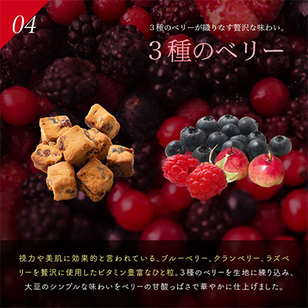ソイキューブ(4種ミックス) 【600g(100g×6袋)】