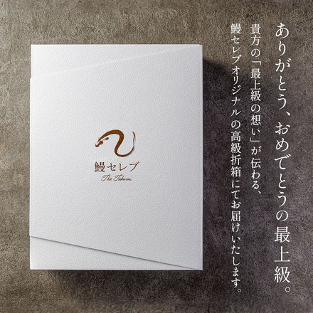 フィレ鰻 蒲焼1尾 特製うなぎのたれ＆京都一休堂の山椒付き